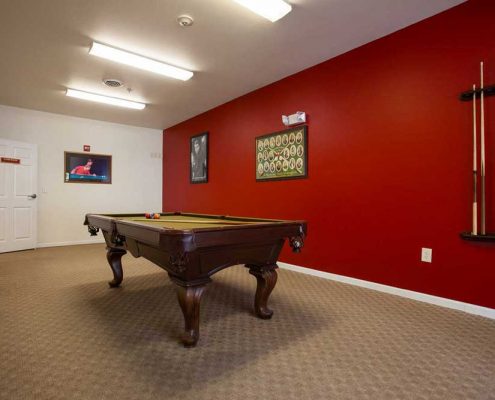 Brookhaven at County Line Senior Apartments Pool Table